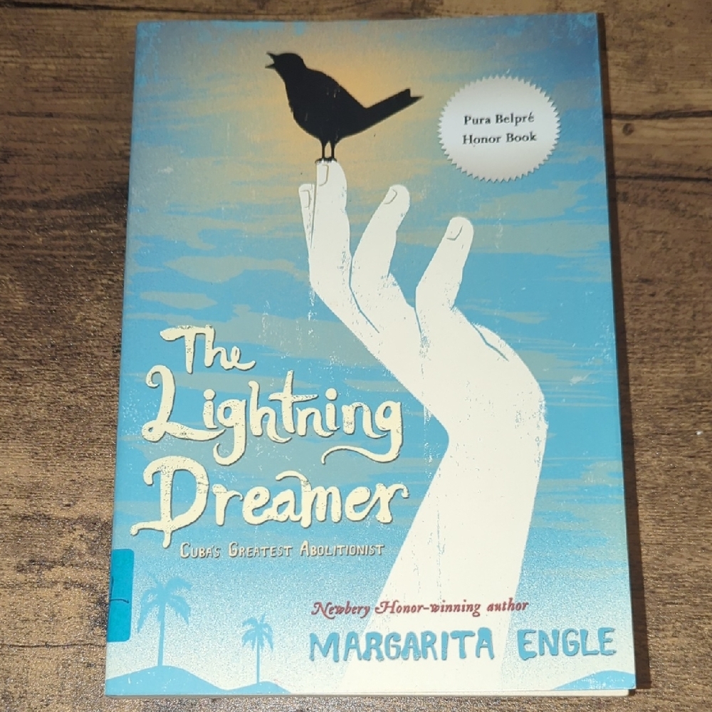 The Lightning Dreamer Book